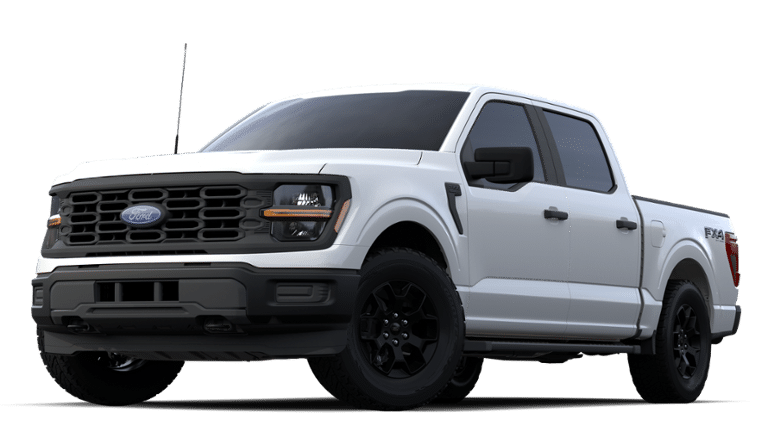 2024 Ford F-150 Vehicle Photo in Terrell, TX 75160